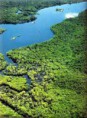 /album/galeria-de-fotos-parque-nacional-do-jau/parque-nacional-de-jau-jpg/